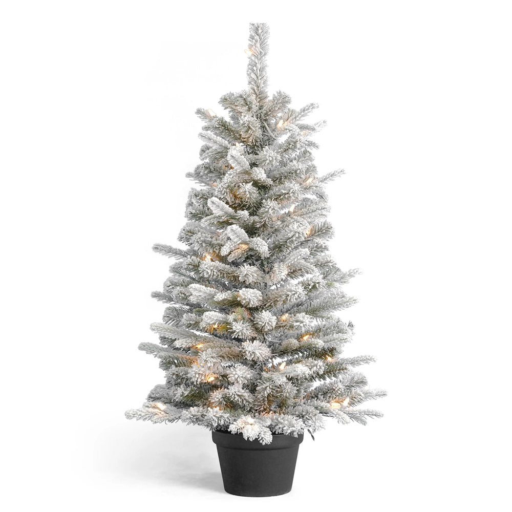 4ft Estes Pine Flocked Porch Tree (set of 2) Each Tree is 20" in Diameter and Pre-Lit with 50 UL Clear Lights - by Seasonal LLC