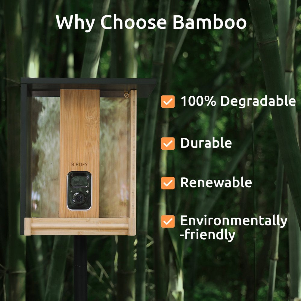 Bird Feeder with Camera, Netvue Birdfy Upgrade Smart Feeder Bamboo Ideal Gift for Bird Lover Natural(Lite+Solar)