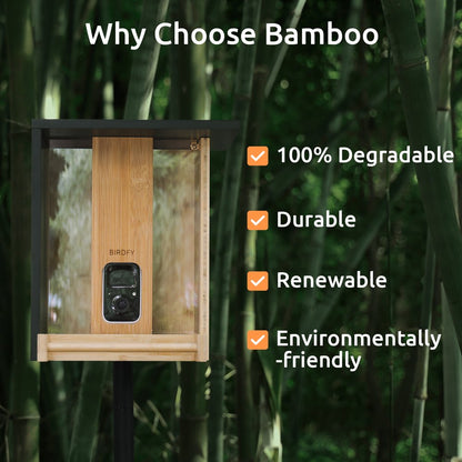 Bird Feeder with Camera, Netvue Birdfy Upgrade Smart Feeder Bamboo Ideal Gift for Bird Lover Natural(Lite+Solar)