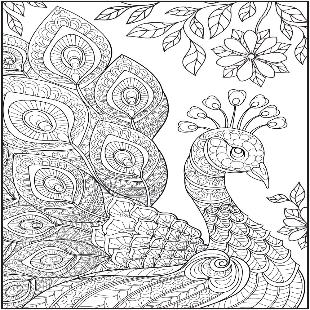 Cra-Z-Art Timeless Creations, Feathered Friends New Adult Coloring Book, 64 Pages