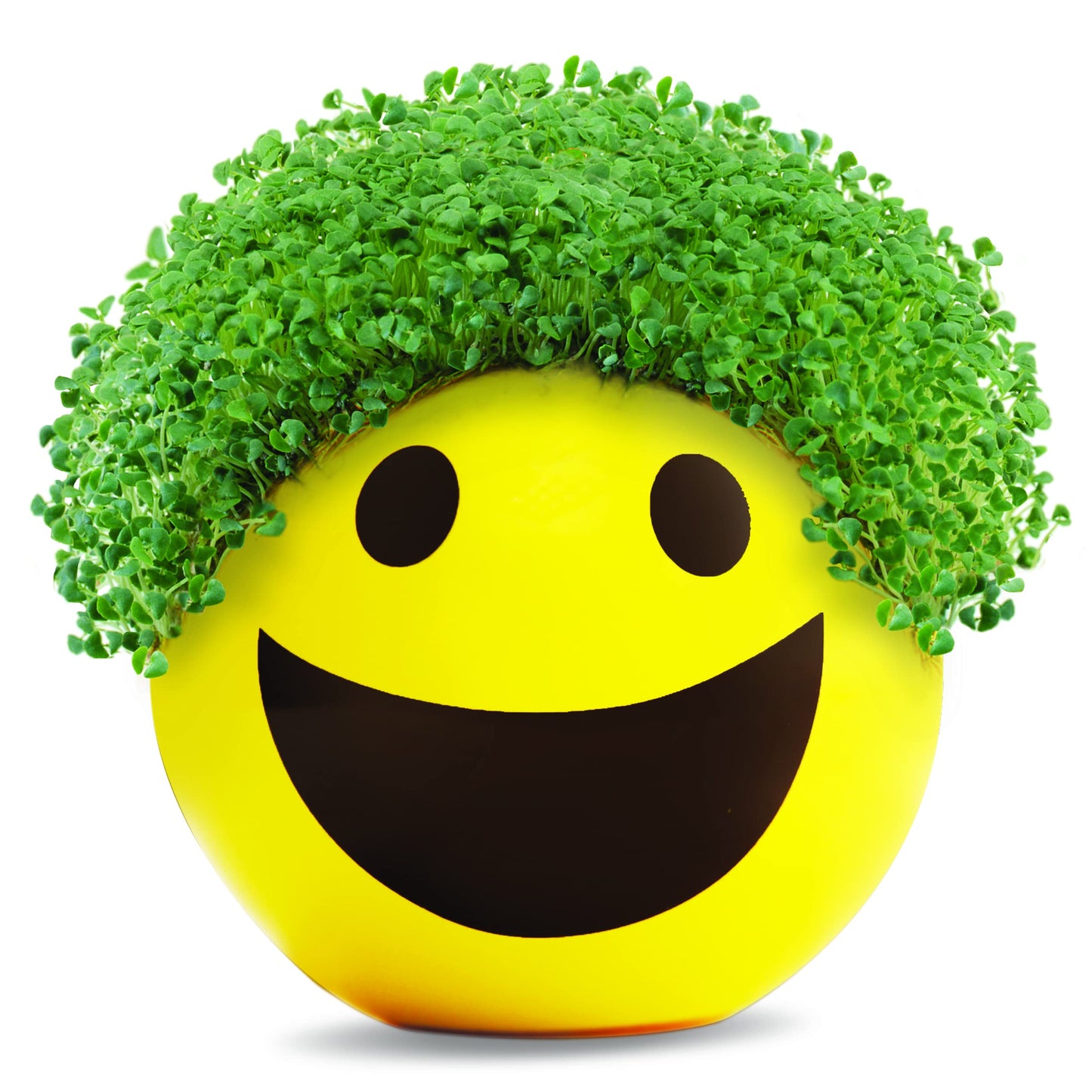 Chia Pet Emoji Smiley with Seed Pack, Decorative Pottery Planter, Easy to Do and Fun to Grow, Novelty Gift, Perfect for Any Occasion