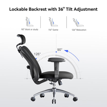 SIHOO Ergonomic Office Chair, Mesh Computer Desk Chair with Adjustable Lumbar Support, High Back chair for big and tall, Black