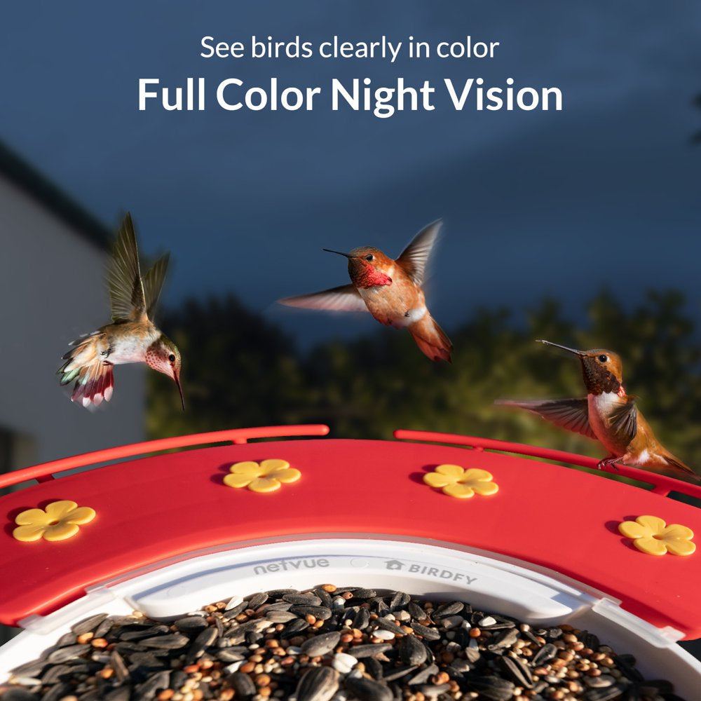 Hummingbird Feeder with Camera, Netvue Birdfy Outdoor Hummingbird Watching with Solar Powered Ideal Gift for Hummingbird Lovers, Red