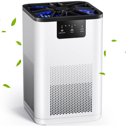 Air Purifier, with H13 True HEPA Filter, Remove 99.9% Smoke Dust Allergies for 300 Sq.Ft