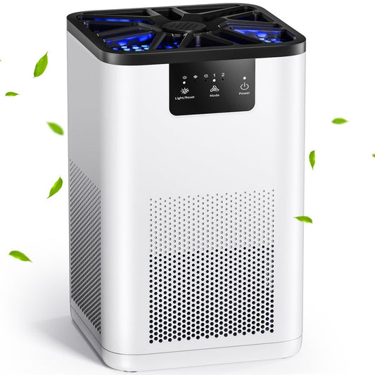 Air Purifier, with H13 True HEPA Filter, Remove 99.9% Smoke Dust Allergies for 300 Sq.Ft