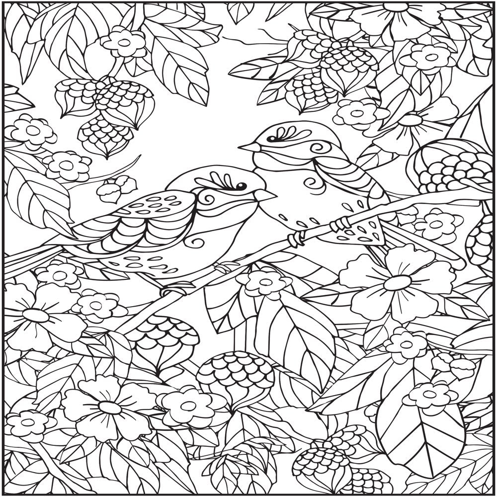 Cra-Z-Art Timeless Creations, Feathered Friends New Adult Coloring Book, 64 Pages