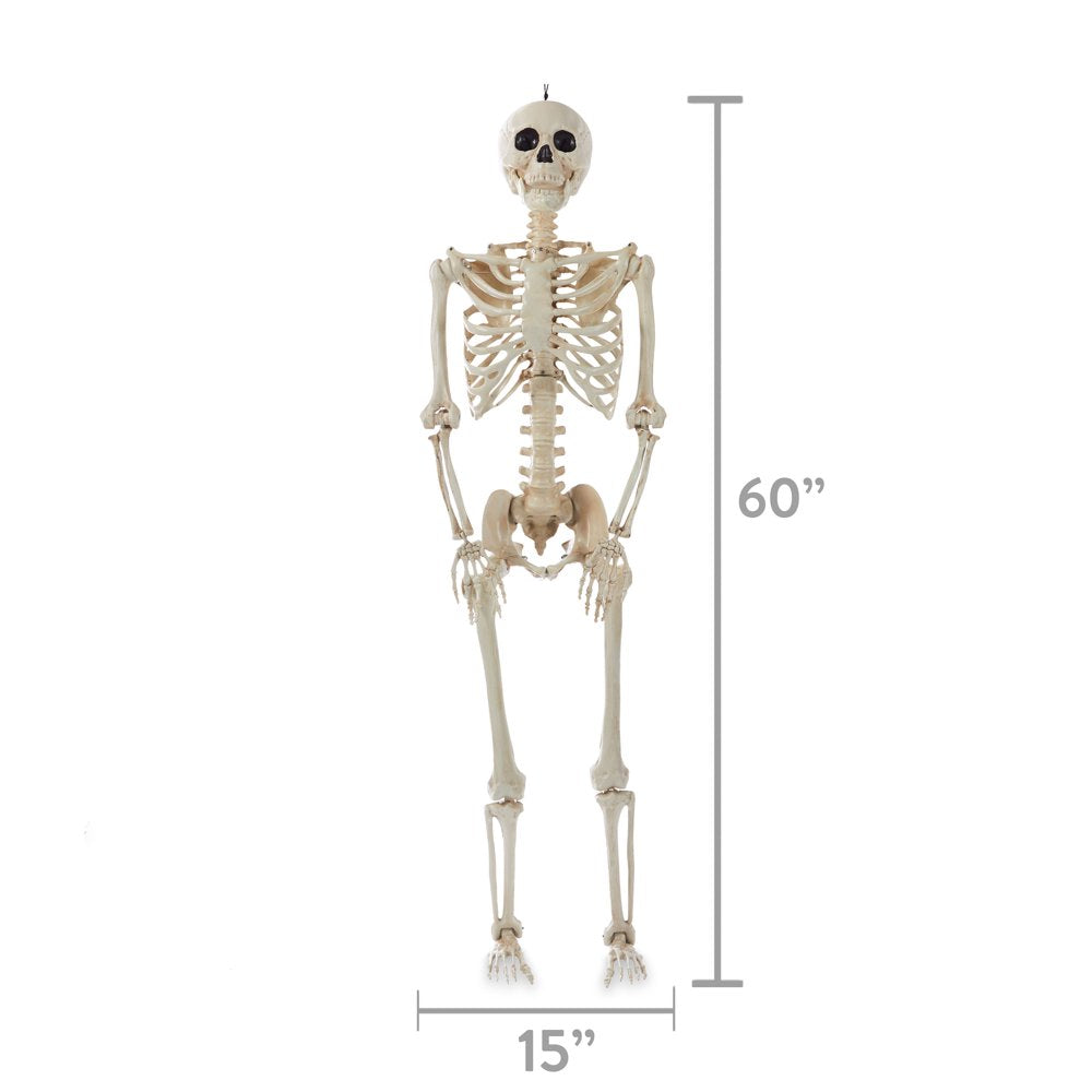  Halloween Hanging Posable Skeleton Decoration, 5'