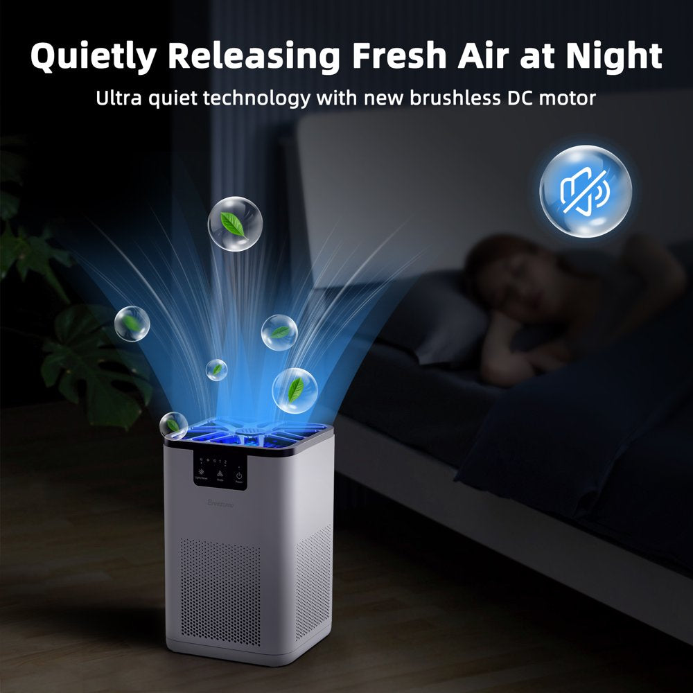 Air Purifier, with H13 True HEPA Filter, Remove 99.9% Smoke Dust Allergies for 300 Sq.Ft