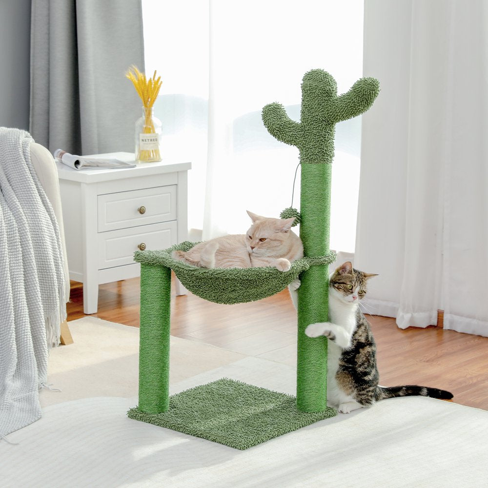 Pawz Road Cactus Cat Scratching Post 33" Large Cat Scratcher with Large Hammock for All Indoor Cats,Green