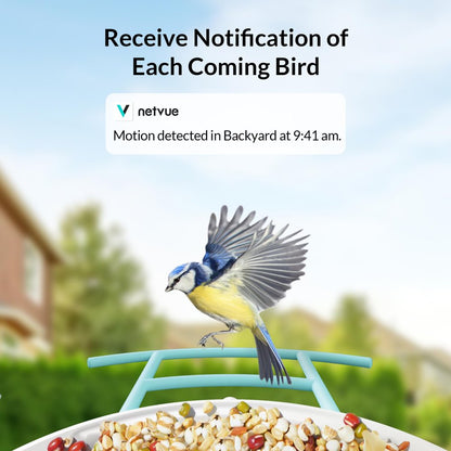 Bird Feeder with Camera, Netvue Birdfy Smart Bird Feeder Christmas Gift Box with Greeting Card, Blue