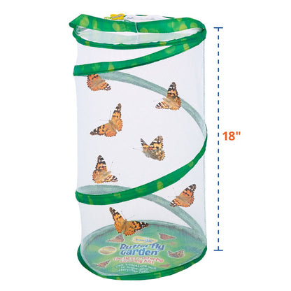 Insect Lore Caterpillars to Butterfly Kit, Deluxe 18 Voucher for 5 Caterpillars, Butterfly Growing Garden