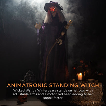  5ft Standing Witch, Wicked Wanda Poseable Halloween Animatronic w/ Pre-Recorded Phrases, LED Eyes