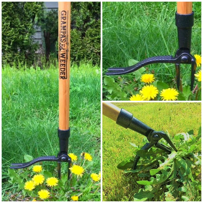 Grampa's Weeder - The Original Stand Up Weed Puller Tool with Long Handle - Made with Real Bamboo & 4-Claw Steel Head Design - Easily Remove Weeds While Saving Your Knees & Back