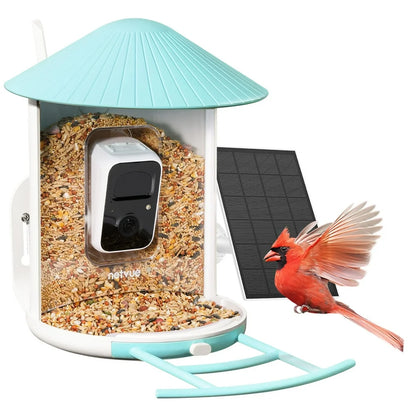 Birdfy Smart Bird Feeder with Camera for Bird Feeding and Watching - 1.5 lb Capacity, Blue