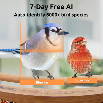 Bird Feeder with Camera, Netvue Birdfy Upgrade Smart Feeder Bamboo Ideal Gift for Bird Lover Natural(Lite+Solar)