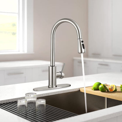 Kitchen Sink Faucets with Pull down Sprayer, High Arc Single Handle with Water Lines