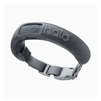 New Halo Collar 3 (Medium/Large, Graphite) - Wireless Dog Fence & GPS Dog Collar