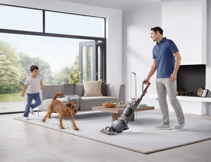 Dyson Ball Animal 2 Upright Vacuum | Nickel | New