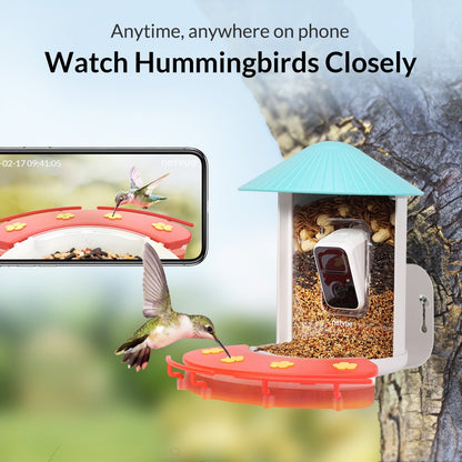 Hummingbird Feeder with Camera, Netvue Birdfy Outdoor Hummingbird Watching with Solar Powered Ideal Gift for Hummingbird Lovers, Red