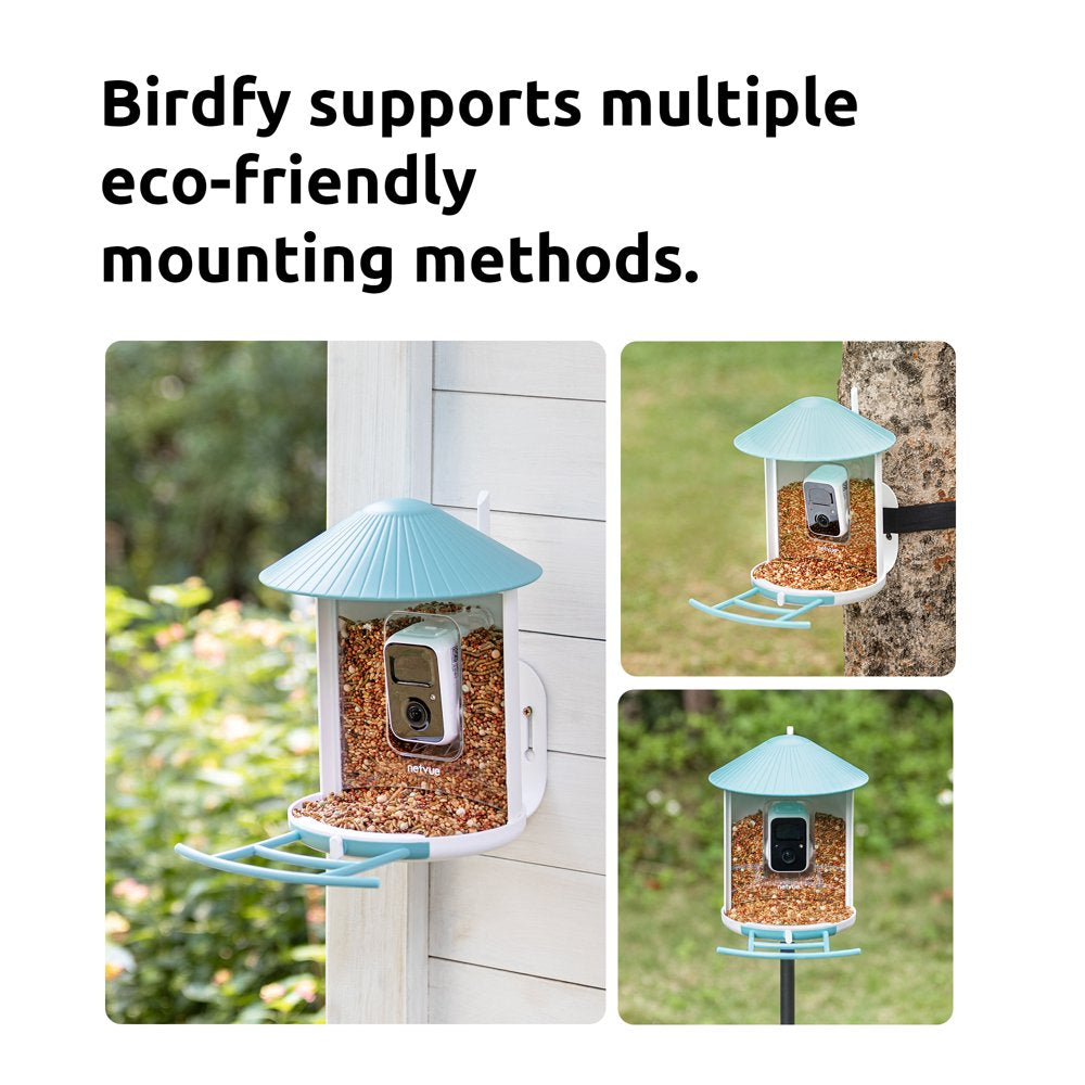 Birdfy Smart Bird Feeder with Camera for Bird Feeding and Watching - 1.5 lb Capacity, Blue