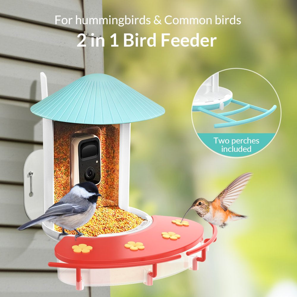 Hummingbird Feeder with Camera, Netvue Birdfy Outdoor Hummingbird Watching with Solar Powered Ideal Gift for Hummingbird Lovers, Red