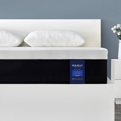 Queen Mattress, Molblly 10" Queen Size Memory Foam Mattress in a Box